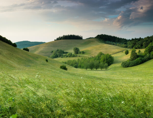 services-02 Services 02